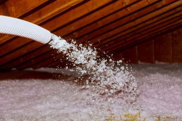 Best Cellulose Insulation in Carroll, IA