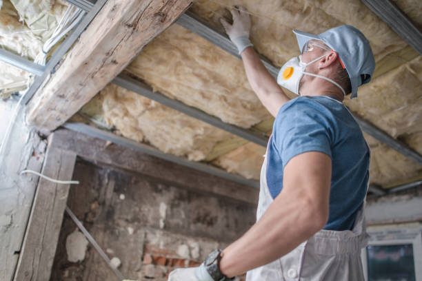 Best Spray Foam Insulation in Carroll, IA