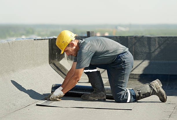 Best Specialized Insulation Services in Carroll, IA