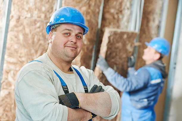 Best Commercial Insulation in Carroll, IA